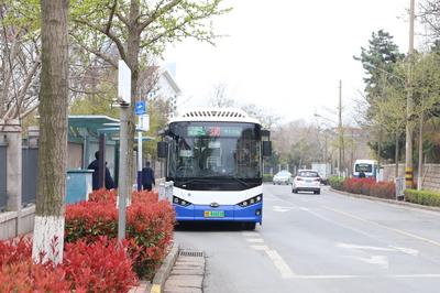 文旅服务嵌进行车全程！青岛巴士特色线路激活城市赏花经济