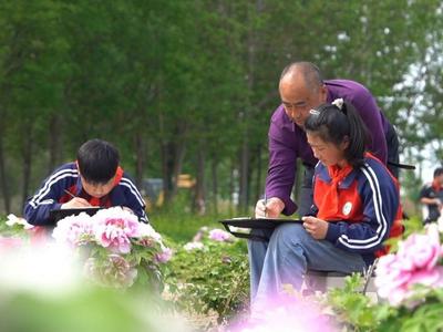 千城百县看中国·赏花季｜山东巨野：牡丹盛开 工笔凝芳