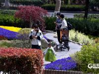 春日私藏！百花苑里百花开
