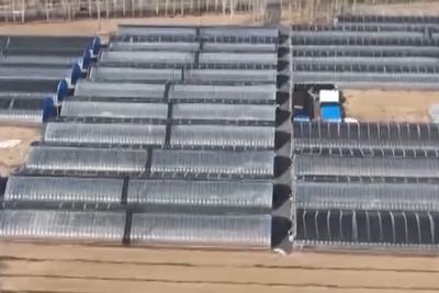 山东东北部将迎来两轮强风，大棚防护五步速看→