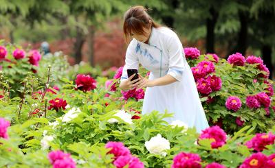 青岛市举行“耕美润心 艺韵青春”大中小学思政教育一体化实践活动