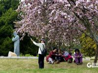 春日私藏！百花苑里百花开
