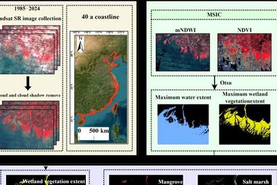 海洋一所发布并开放共享近40年全国高精度滨海湿地分类数据集
