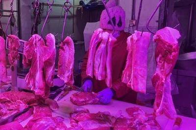 农业农村部：推动猪价合理回升