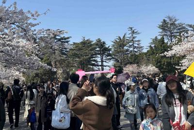 踏青出游饱览春光，青岛热度全省领先