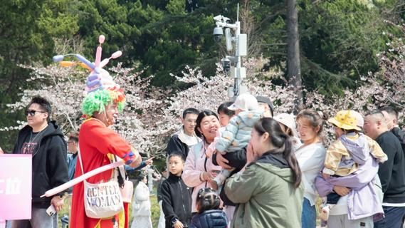 千园惠民，山海共悦！2026青岛“城市公园+”暨中山公园樱花会启幕