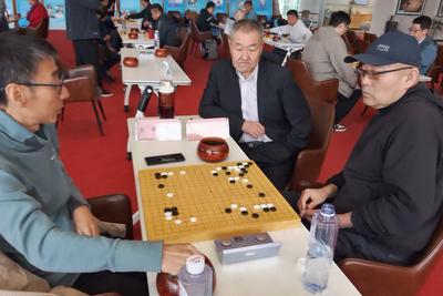 2026“梦百合杯”青岛市第三届行业围棋联赛揭幕