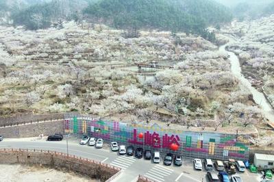 “四好农村路”串起山海繁花！青岛交通赋能乡村旅游全域共富