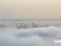 开启“仙境模式”！青岛再现平流雾景观