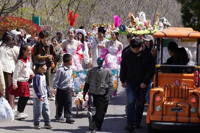 当科技邂逅萌宠，青岛这个景区清明上演“春日童话”
