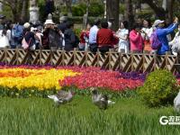 青岛中山公园：“郁”你有约