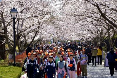 青岛15部门联合推进中小学春秋假！今年秋季学期正式实施