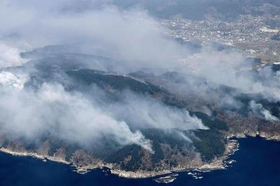 日本岩手县山火过火面积超1100公顷