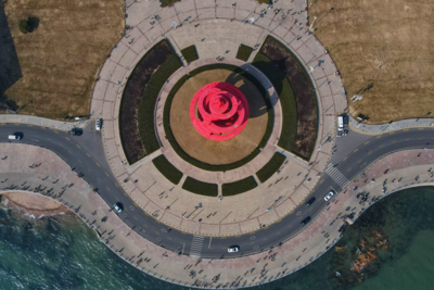 2026年青岛市政府立法工作计划发布，包括16件地方性法规和政府规章项目