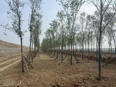 官路水库建设项目入选首批“国家级水土保持示范工程”创建名单