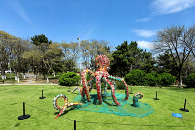 免费向公众开放！“2026世界地球日生态雕塑展”在青岛雕塑园正式启幕
