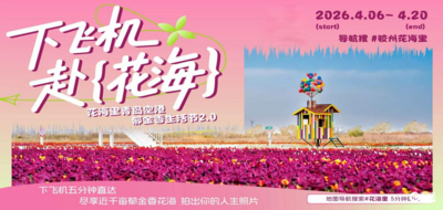 快来打卡！青岛空港郁金香生活节正值最佳观赏期