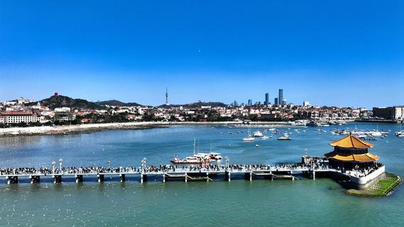 青岛：假日尾声，“人海”“鸥群”相映成趣