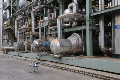 滨州沾化缺什么，青岛市南就补什么！看偏科小城如何向全优蜕变