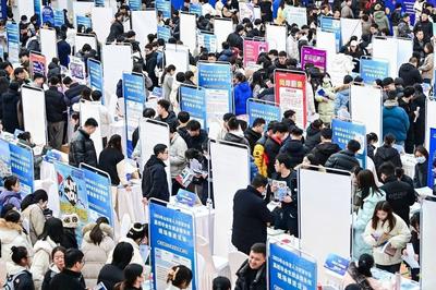 青岛市启动2026年高校毕业生“三支一扶”计划招募工作