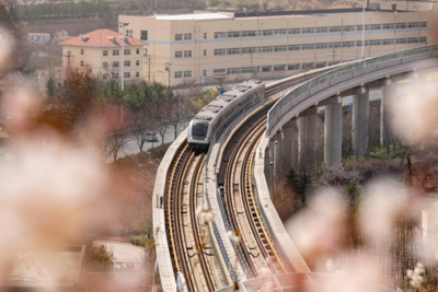 全网“围观”超200万次！青岛这条“开往春天的地铁”载着春日浪漫火爆出圈