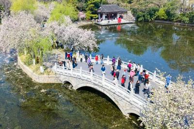 “不休假等于敬业”？你有休假羞耻吗？