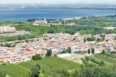 青岛锚定“连片发力”，加快乡村振兴片区提质升级