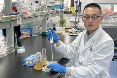 ​仿面膜保鲜纸，让果蔬更水灵！青岛这个大学研发出纳米复合保鲜纸