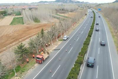 青岛公路攻坚发力“精养提质”，通畅路网串联起山水田园与特色业态