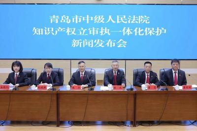 青岛中院举行新闻发布会，通报2025年知识产权司法保护工作情况并发布典型案例