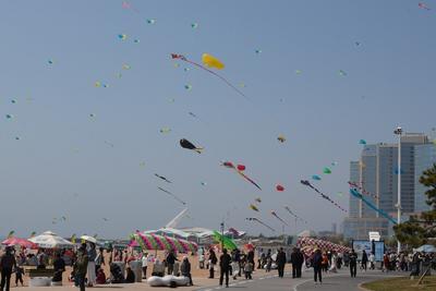 海水浴场上空飘满“海鲜”！2026崂山国际沙滩风筝文化推介季启幕