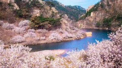 假期约爬山？崂山风景区停车＋公共交通出行指南来了→→