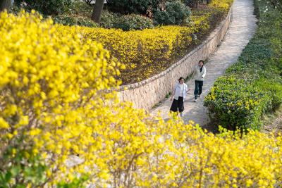赏春正当时 消费暖意足