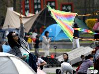 帐篷连营风筝竞天，清明踏青热度不减