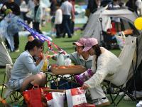 帐篷连营风筝竞天，清明踏青热度不减