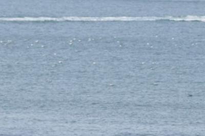 美机构发布预警：印尼附近海域地震或引发海啸