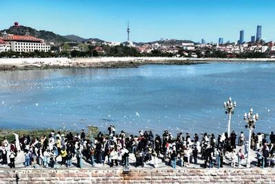 在全省文旅盛会上，青岛大项目、新场景诚邀“合伙人”共绘“山海诗意”