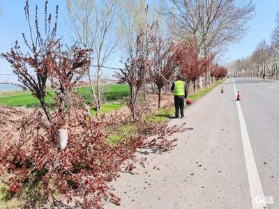 聚焦重点国省干线！青岛公路春季养护赋能农业大市乡村振兴