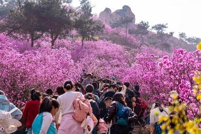 “最夯清明假期”，青岛上榜自驾游热门目的地TOP10