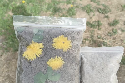 抗美援朝烈士碑前，为何放着五捧泥土？