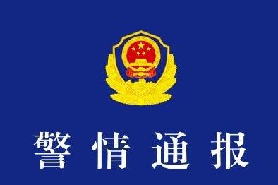 广东警方通报全红婵遭网暴事件
