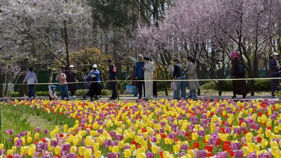 青岛中山公园：“郁”你有约