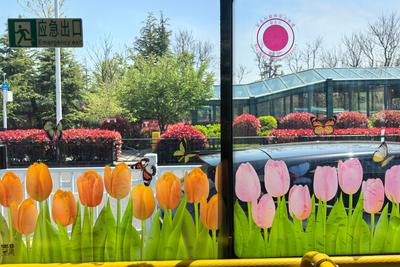 赏花之旅更舒心！青岛巴士上线“安心寻回卡”