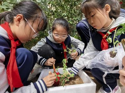 青岛贵州路小学举行“校园小农场”启耕仪式