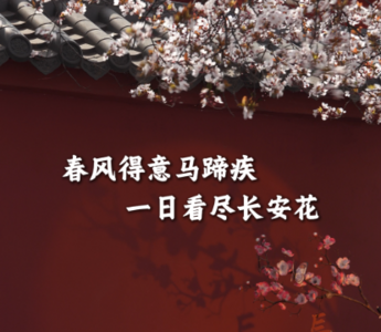 文化中国行·联播一瞬丨春行万里诗遇千年 邂逅一场人间温柔