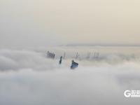 开启“仙境模式”！青岛再现平流雾景观