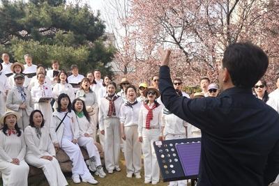 花海踏歌 ，声动春日！青岛百花苑合唱快闪唱响春日赞歌