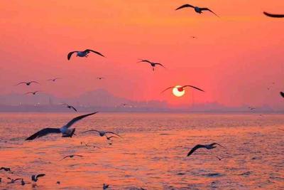 共赴一场限定版“日不落”！橘子海歌迷航线今日启程！