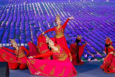 共赴“河谷”之约，“天山河谷·花开伊犁”2026春夏季文旅推介会走进青岛