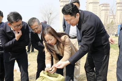 市南区法院举行胶州湾蓝碳建设暨碱蓬生态修复项目启动仪式